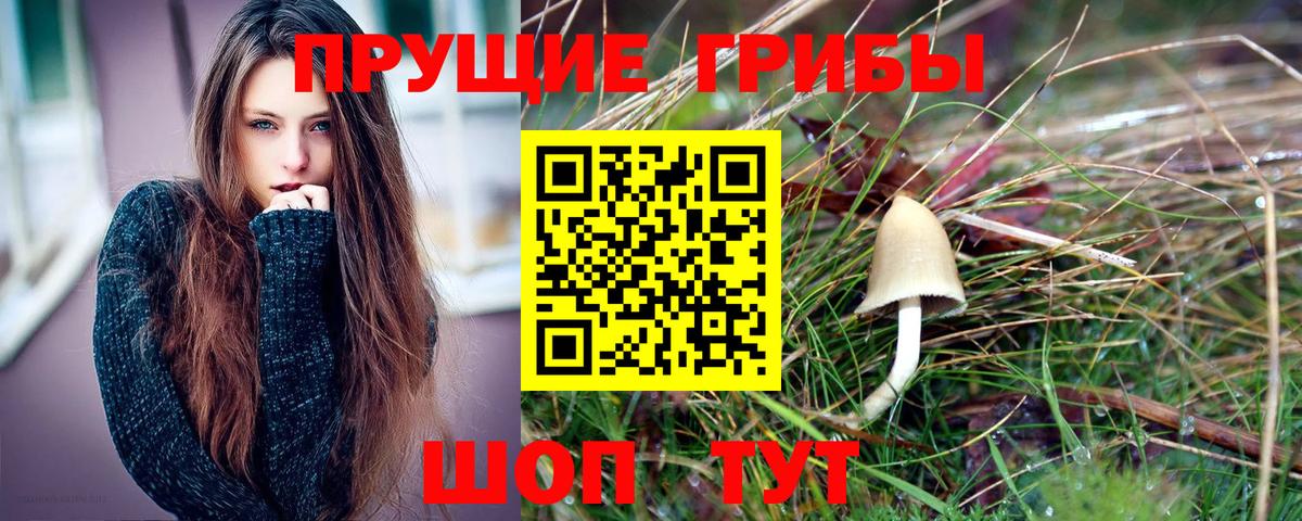 Псилоцибиновые грибы мухоморы Энгельс