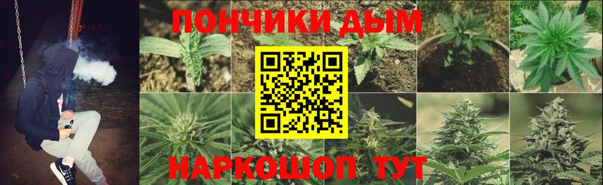 Энгельс  МАРИХУАНА планчик  Канабис семена  Канабис индика  Вход с VPN 